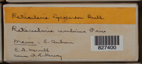 Image Associated With the Occurence